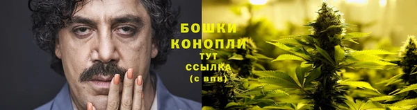 гашиш Богданович