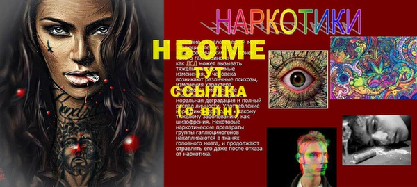 гашиш Богданович