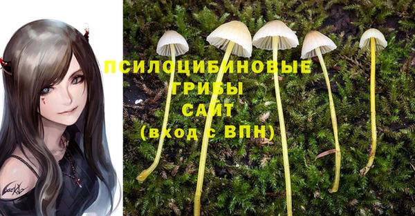 гашиш Богданович