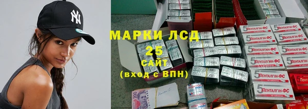 гашиш Богданович